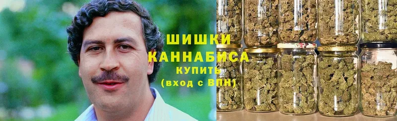 Каннабис Amnesia  Туймазы 